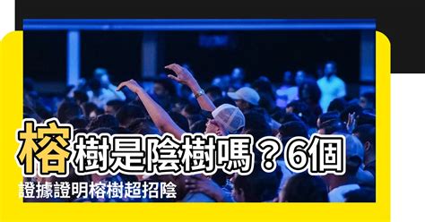 榕樹 招陰|【城市傳聞】樹大招陰？6種樹易惹鬼 